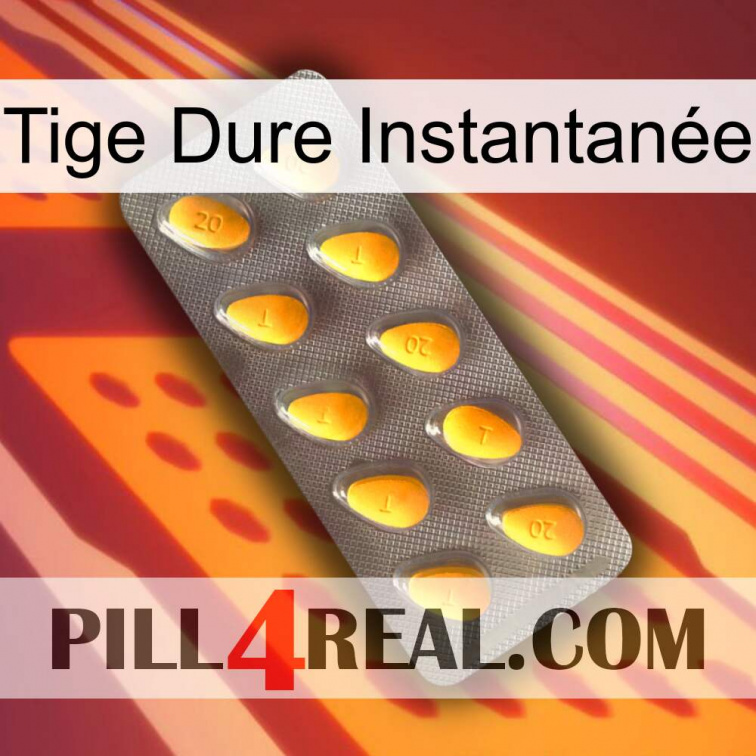 Tige Dure Instantanée cialis1